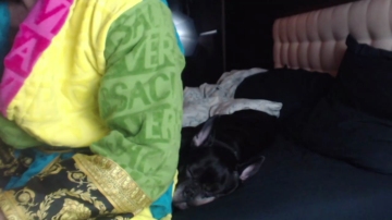 Blakemyers  04-12-2021 video analsex